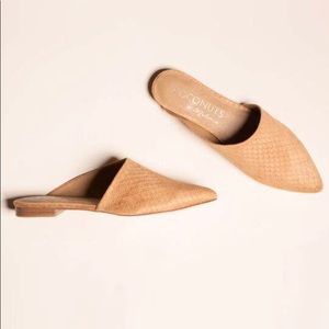 Xander burnt 🍊 mules. Coconuts by Matisse.